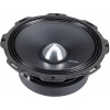 Мидбас Rockford Fosgate PPS4-8