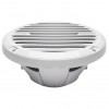 Сабвуфер Rockford Fosgate RM112D2