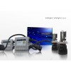 Комплект Блок Infolight Expert Light - 2 шт., Лампа Infolight Pro - 2 шт